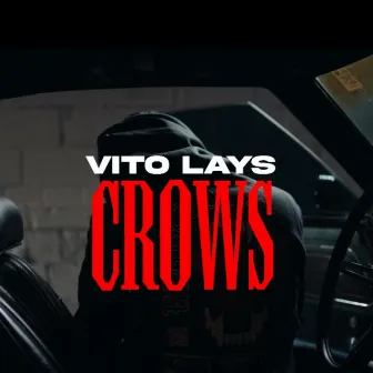 Crows by Vito Lays