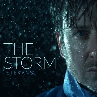 The Storm by Stevans