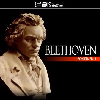 Beethoven Sonata No 1 by Miklas Skuta