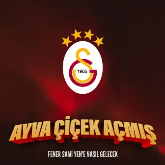 Ayva Çiçek Açmış (Fener Sami Yen'e Nasıl Gelecek) by Tarık İster