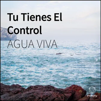 Tu Tienes El Control by Agua Viva