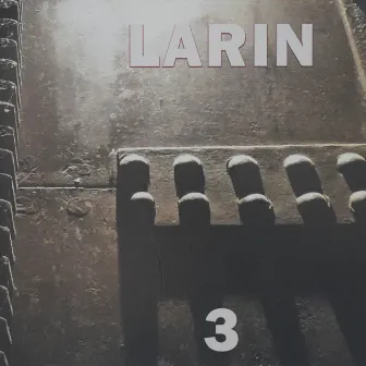 3 by Larin