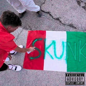 SKUNK by Mendola