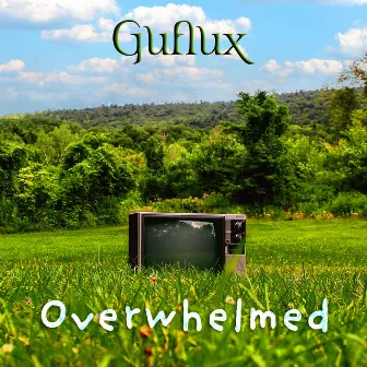 Overwhelmed by Guflux