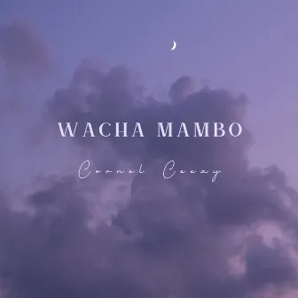 Wacha mambo by Cornel Ceezy