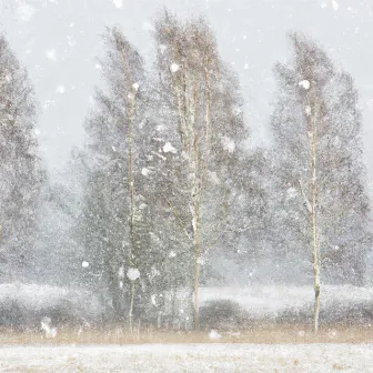 Snowstorm to Sleep by HD Nature Sound Library