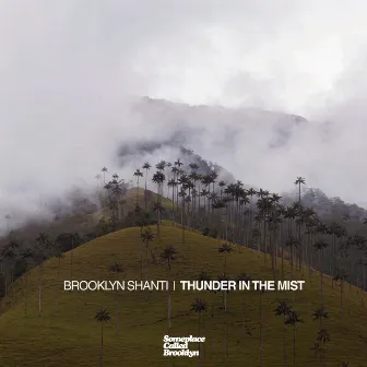 Thunder in the Mist by Brooklyn Shanti