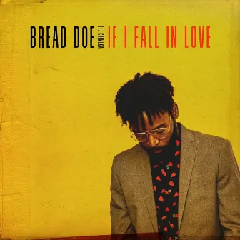 If I Fall In Love (feat. Chimeka) by Bread Doe