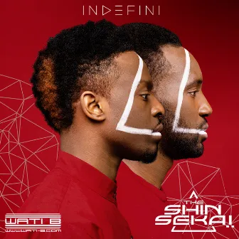 Indéfini by The Shin Sekaï