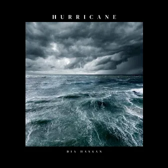 Hurricane by Dia Hassan