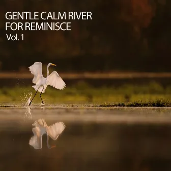 Gentle Calm River For Reminisce Vol. 1 by Nature Insight