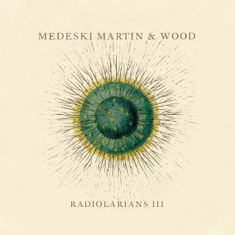 Radiolarians III by Medeski, Martin & Wood