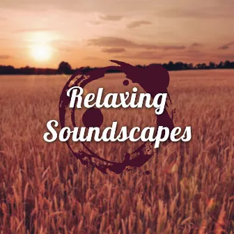 Relaxing Soundscapes - Zen Spiritual Music for your Soul by Unknown Artist