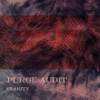 Clarity by Purge Audit