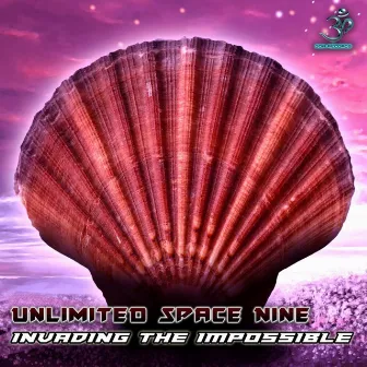 Invading the Impossible by Room Nine Unlimited