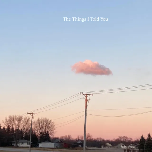 The Things I Told You