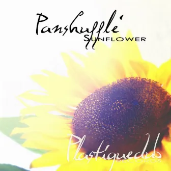 Sunflower by Panshufflè