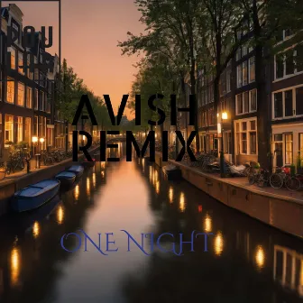 One night (Avishx Remix) by Unknown Artist