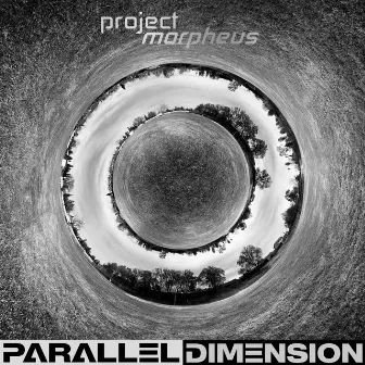 Parallel Dimension by Project Morpheus