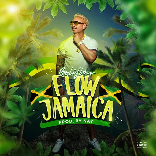 Flow Jamaica