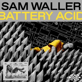 Battery Acid by Sam Waller