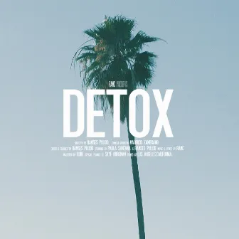 DETOX by RAMC