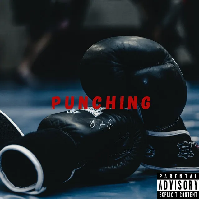 PunchingBag