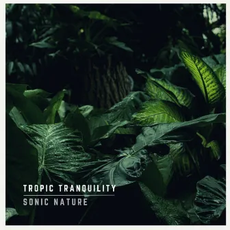 Tropic Tranquility by Sonic Nature