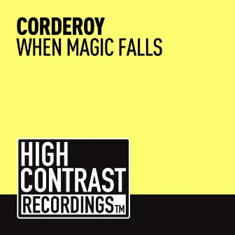 When Magic Falls by Corderoy