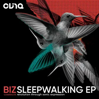 Sleep Walking by Biz