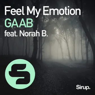 Feel My Emotion by GAAB