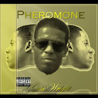 Pheromone by Guss Wright