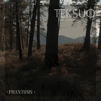 Phantoms (Acoustic) by Teksuo