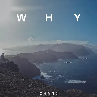 why by Char2