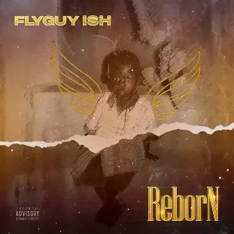 Reborn by Flyguy ISH