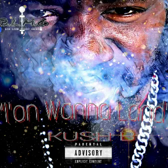 Ion Wanna Land by Kush B