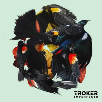 Imperfecto by Troker