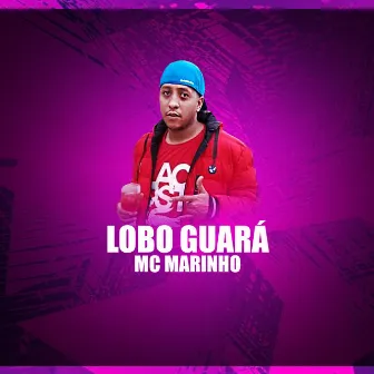 Lobo Guara by MC Marinho