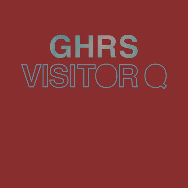 Visitor Q