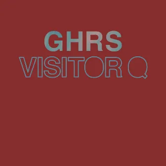 Visitor Q by 