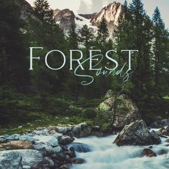 Forest Sounds: Relaxing With Nature by Henry Czeknel