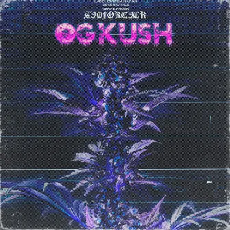 OG KUSH by $VDFOREVER