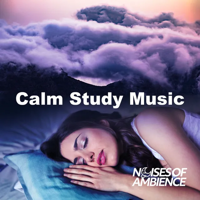 Calm Study Music