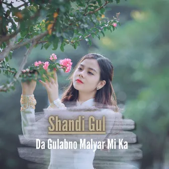 Da Gulabno Malyar Mi Ka by Shandi Gul Mizarwal