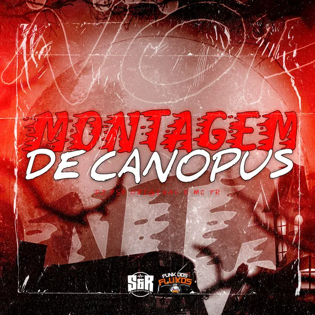 Montagem de Canopus