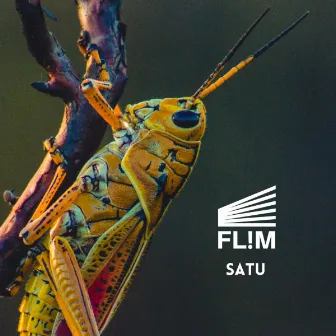 Satu by Flim