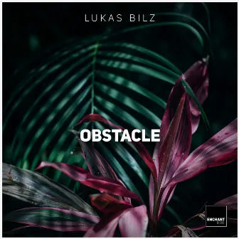 Obstacle by Lukas Bilz