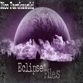 Eclipse Files by Rico Fartkawski