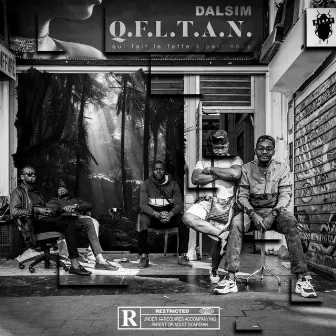 QFLTAN 1 by DALSIM