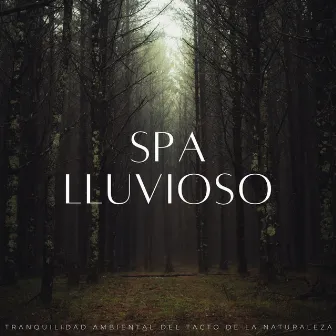 Spa Lluvioso: Tranquilidad Ambiental Del Tacto De La Naturaleza by Meditación de música de spa